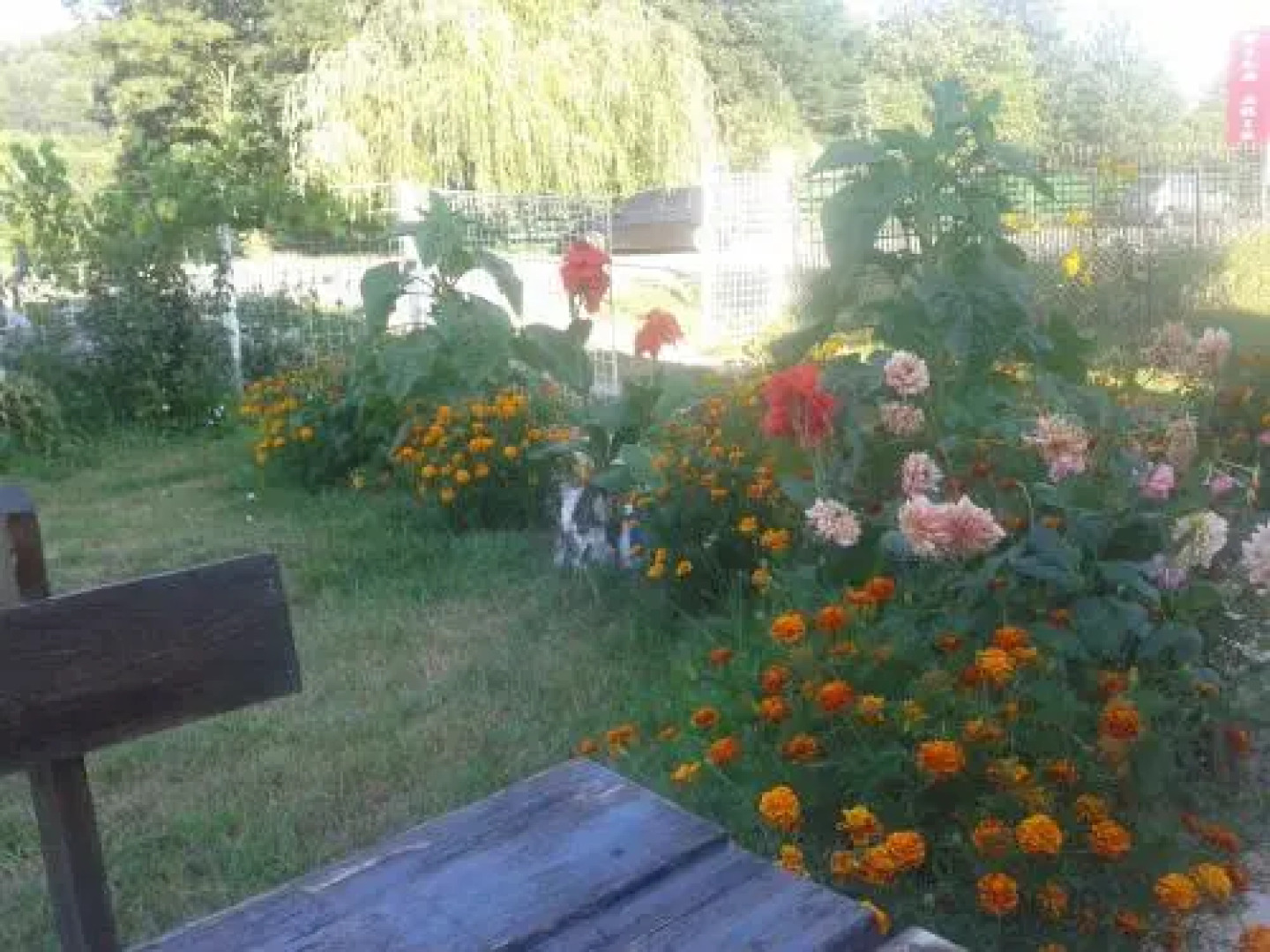 Pensiunea Nopti de Vara