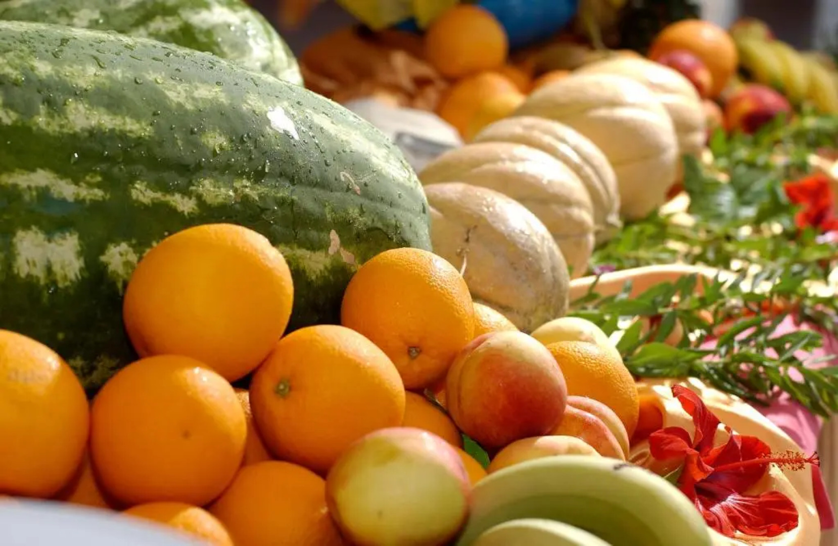 ROBINSON APULIA - All Inclusive