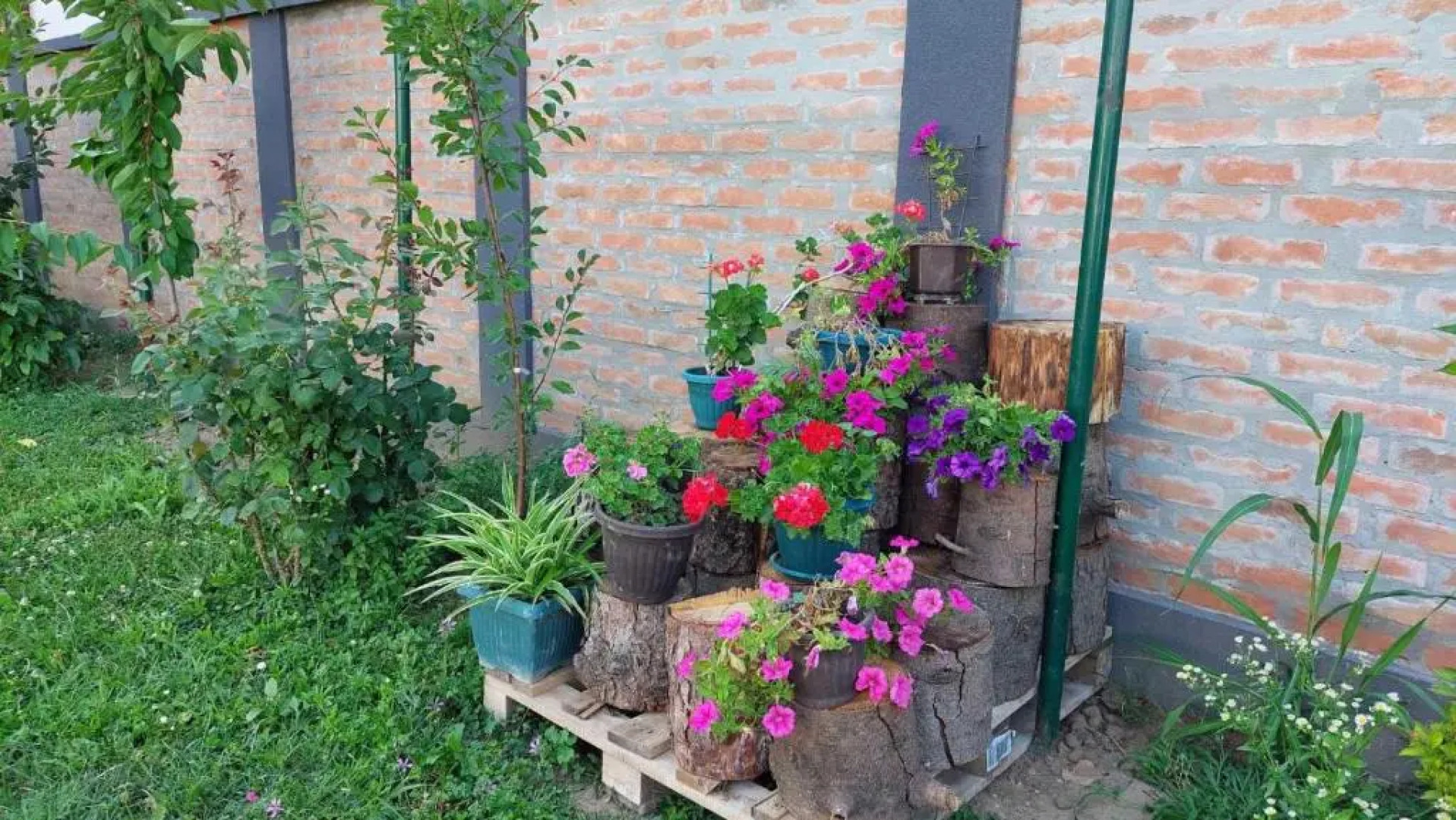 Apartman - kuca Inna