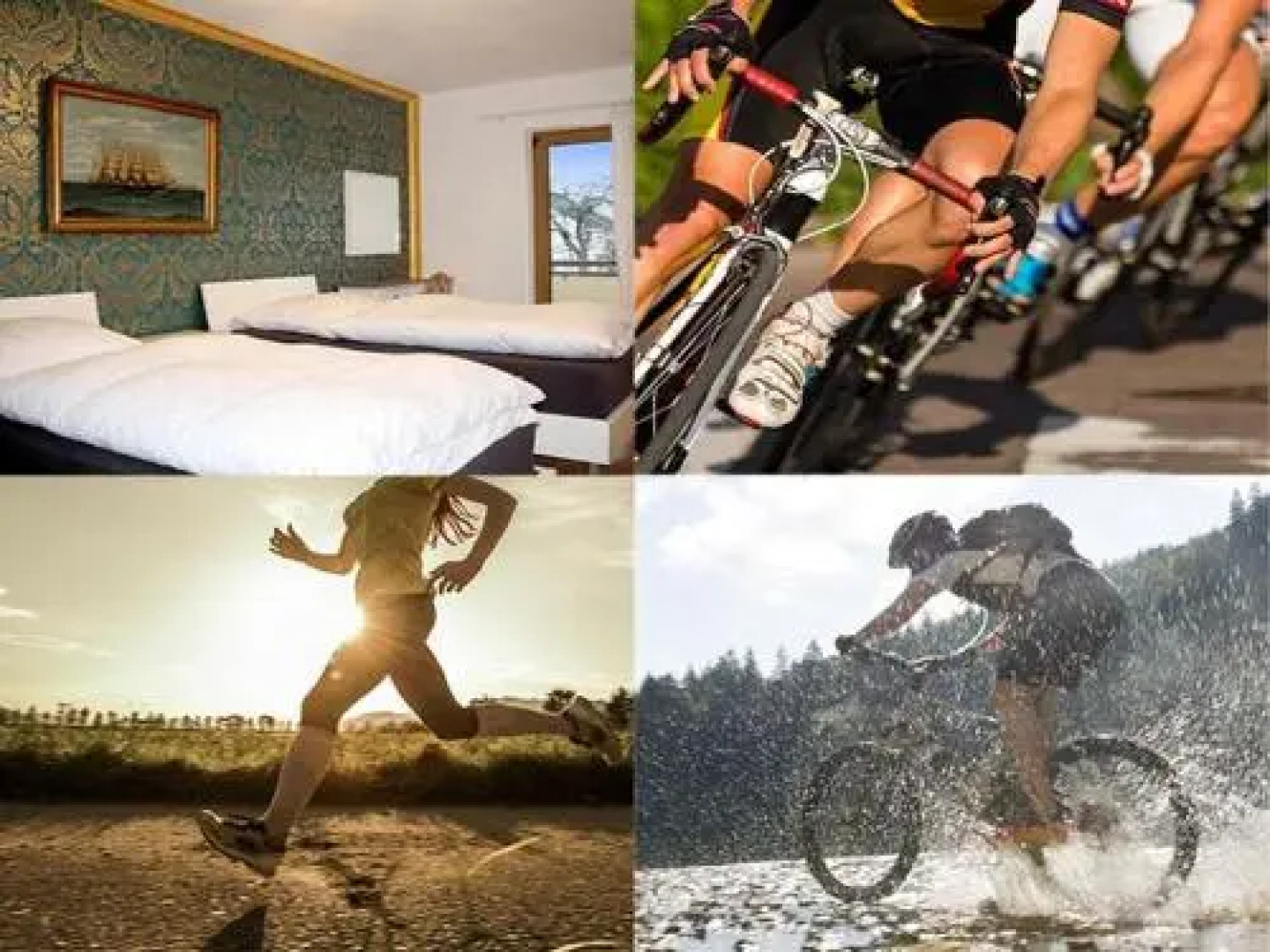 black forest Sportpension