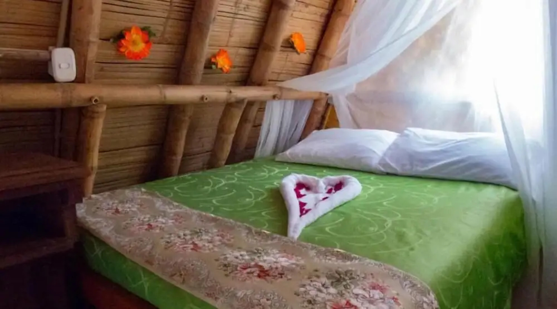 Ecoturismo La Nohelia