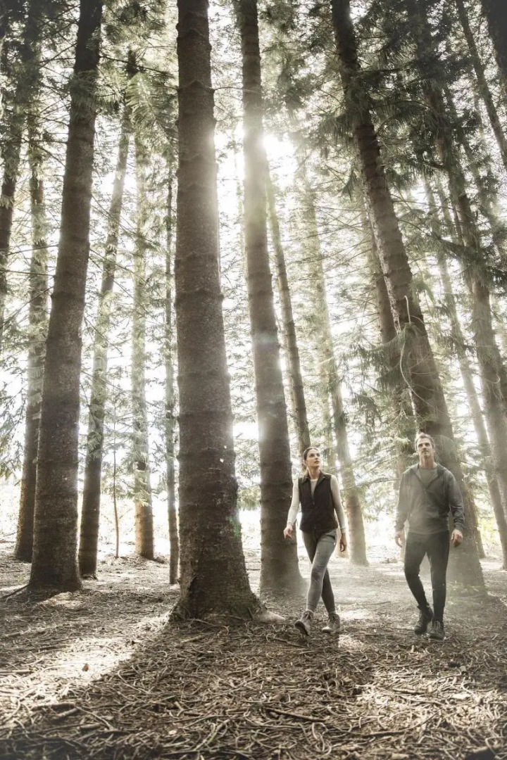 Sensei Lanai, A Four Seasons Resort