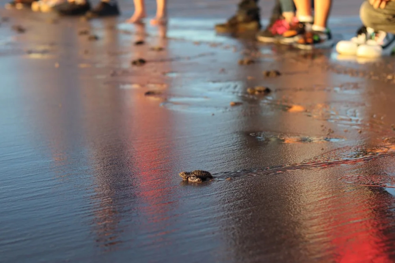 Playa Esperanza Resort