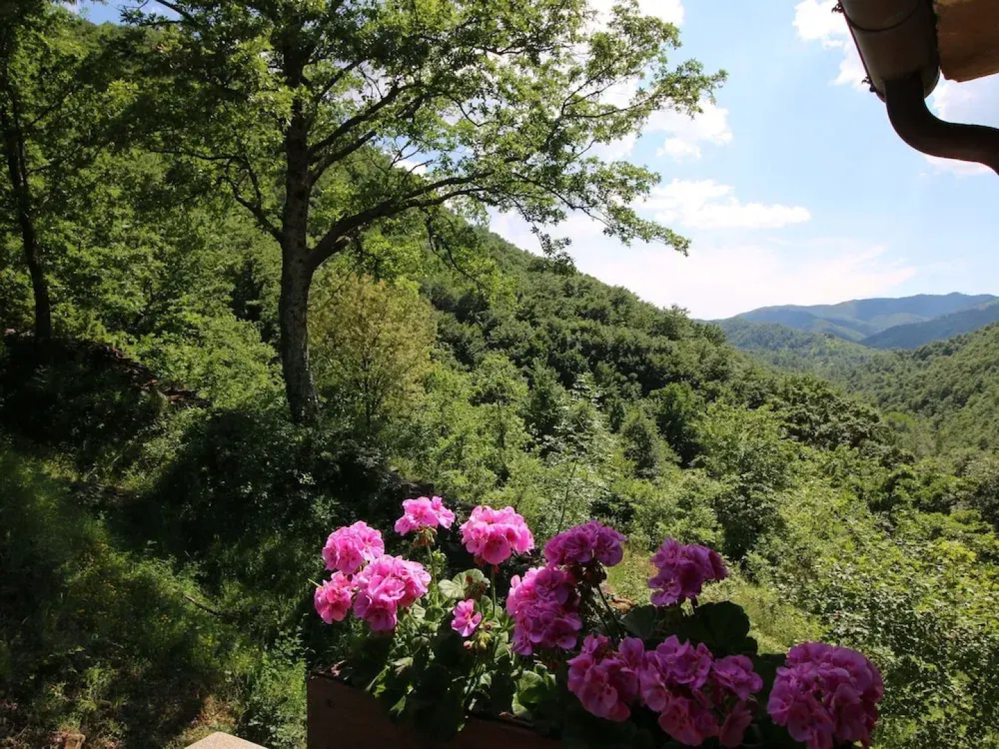 Rustic Country House in the Hills and Forests With Swimming Pool