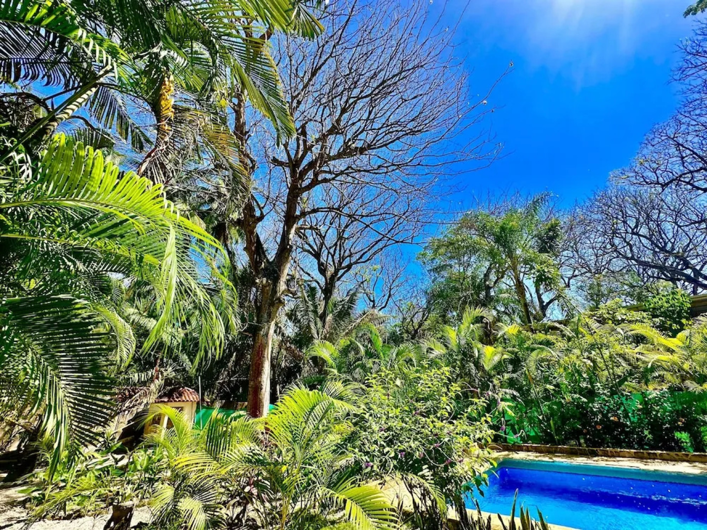 Pacífica Surf Studios