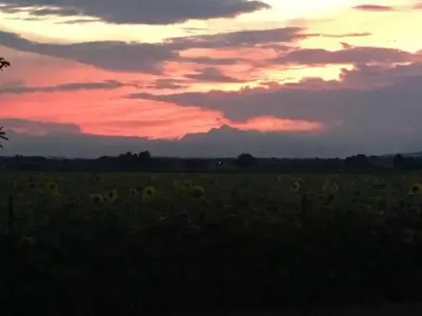 Agriturismo Borgo Chiasalp