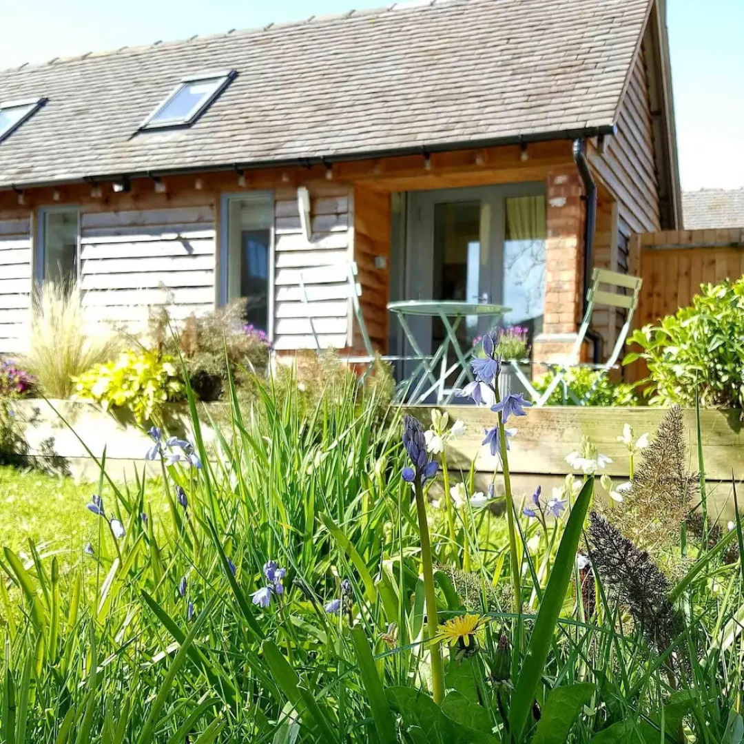 The Dorm Bed and Breakfast