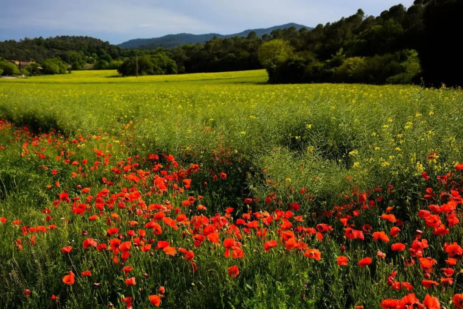 Hotel El Racó de Madremanya - Adults Only