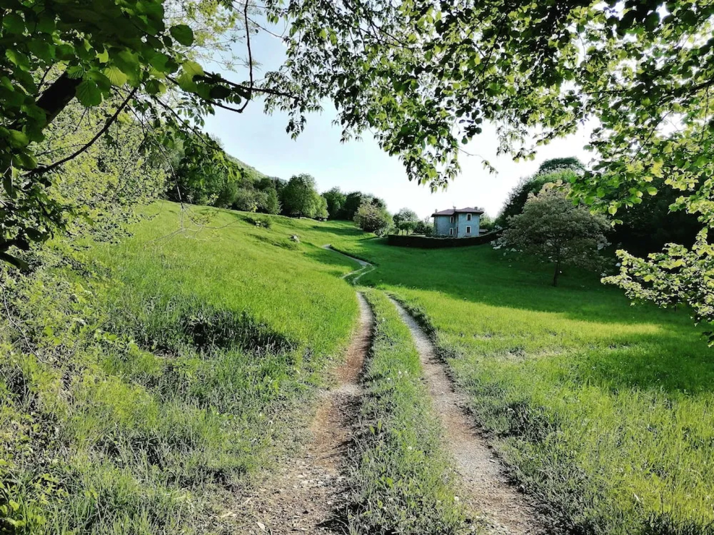 Narciso B&B Valbrona