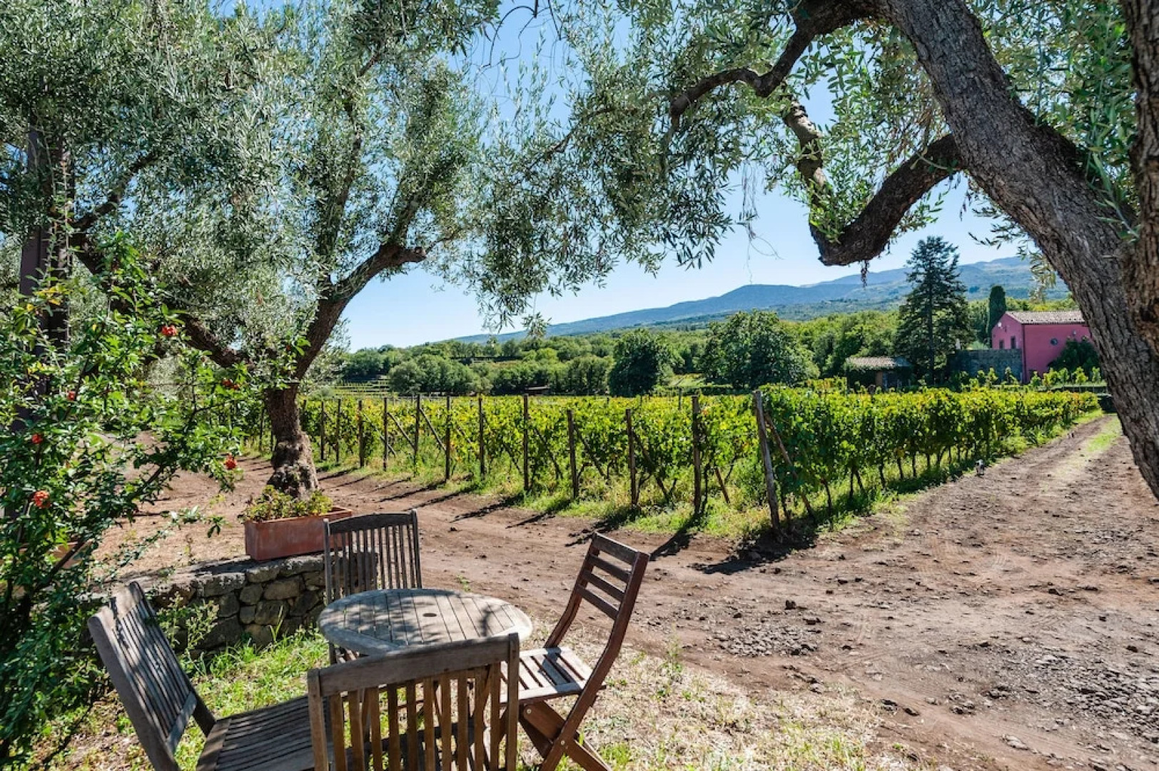 Terrazze dell'Etna - Rooms & Apartments