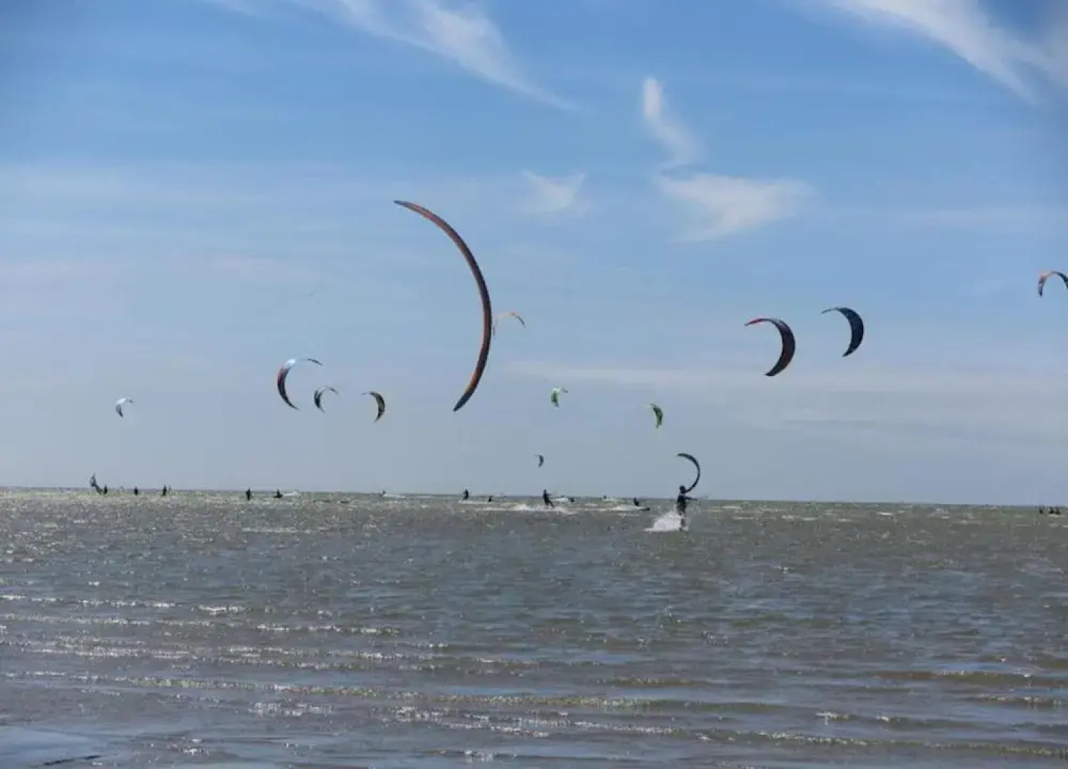 Bungalow by Water Near Rotterdam