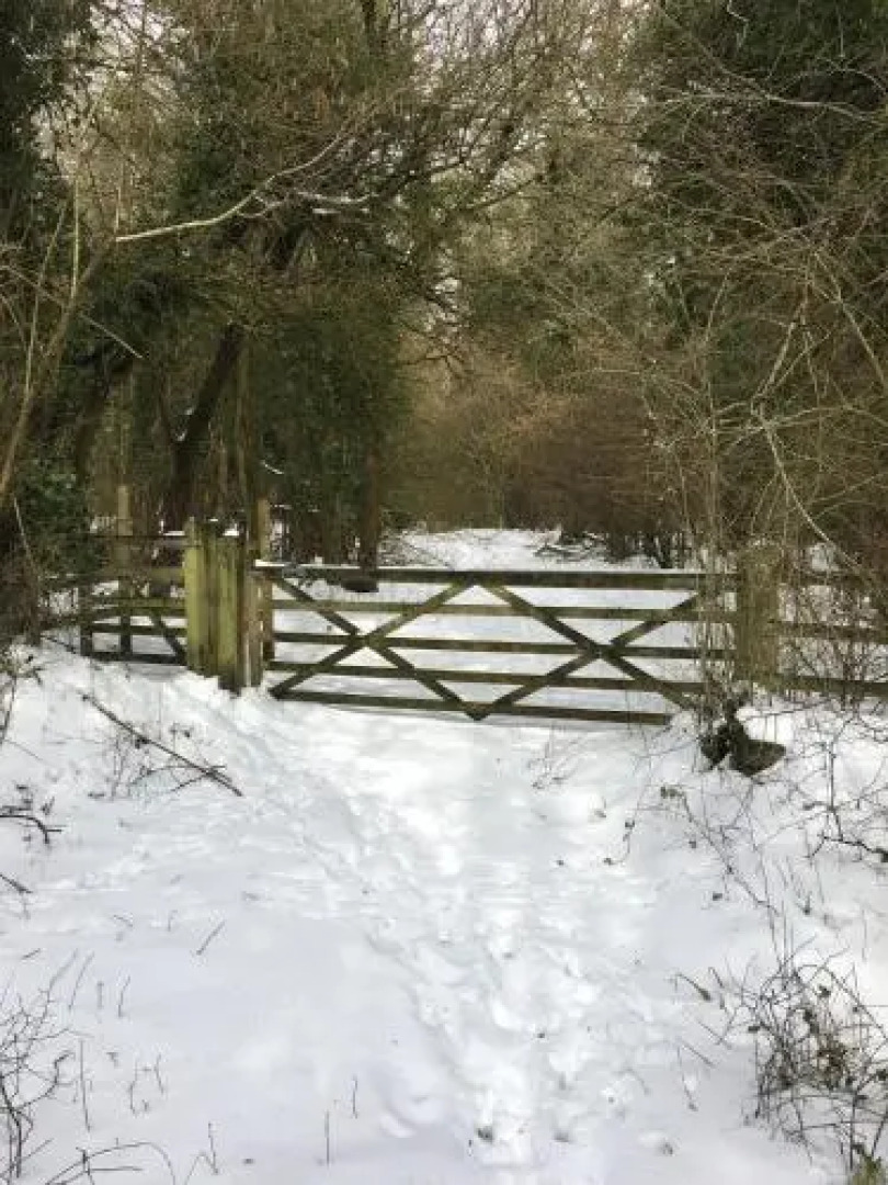 Wildwood Bed & Breakfast