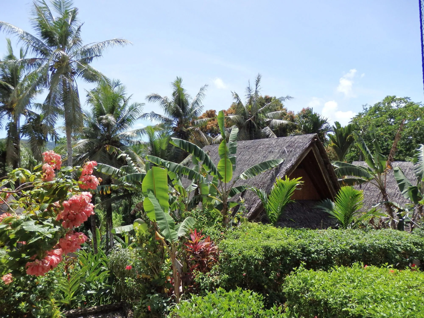 Palau Plantation Resort