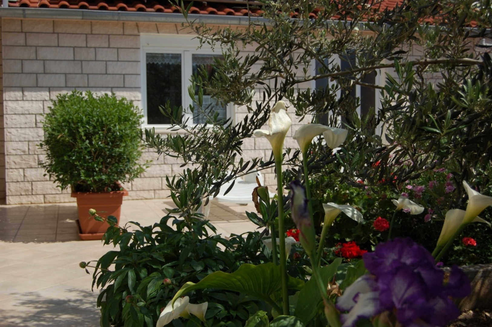 Studio apartment Marti - free parking and grill: SA2 - Studio Hvar, Island Hvar