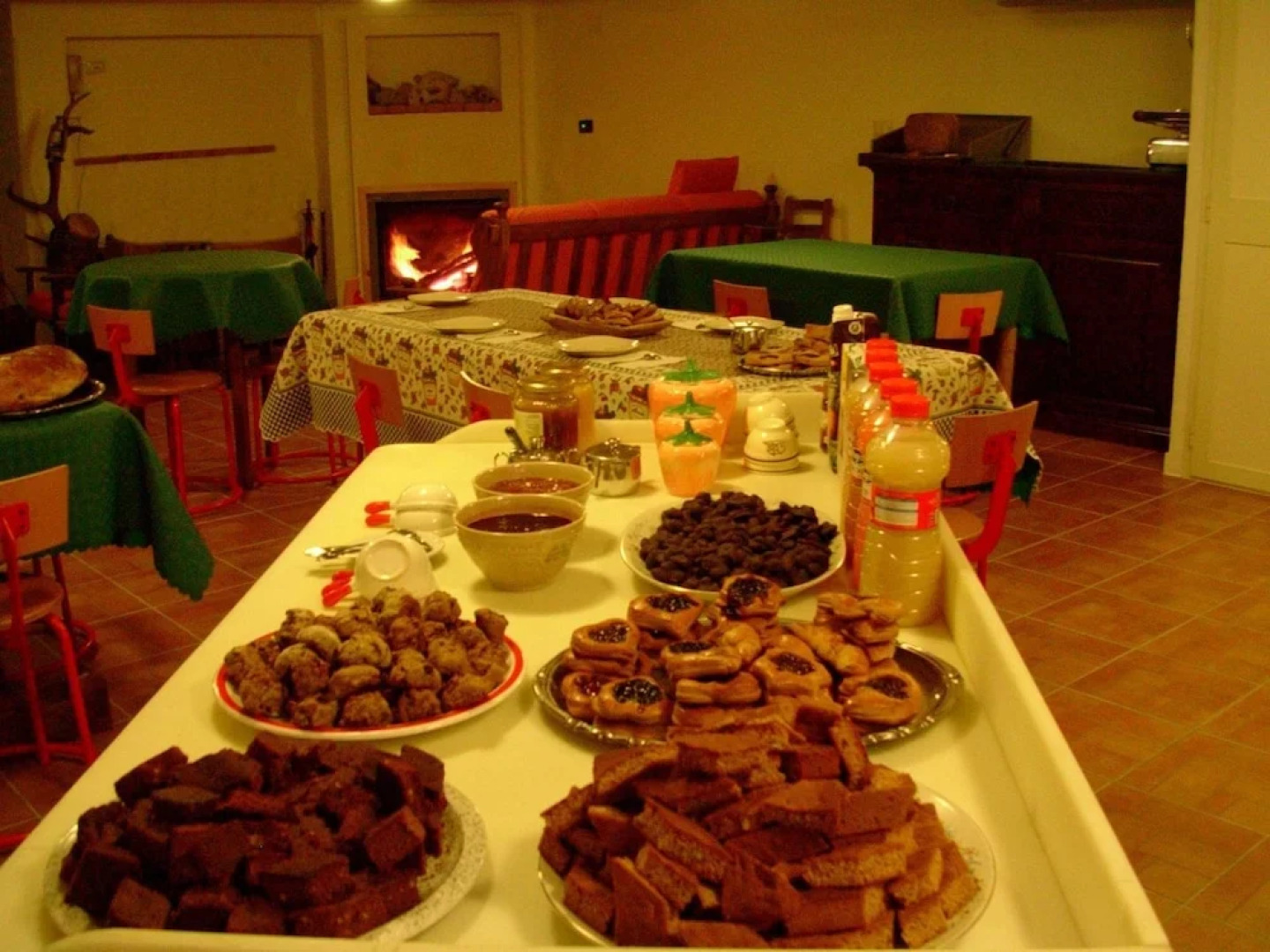 B&B Animali Selvaggi