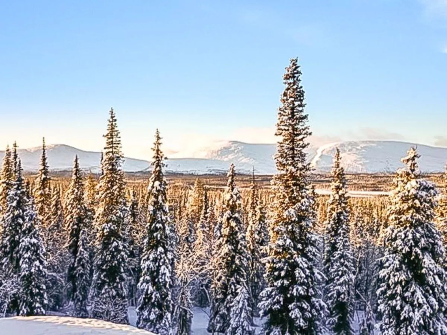 Holiday Home Pallaksen valkkorinne