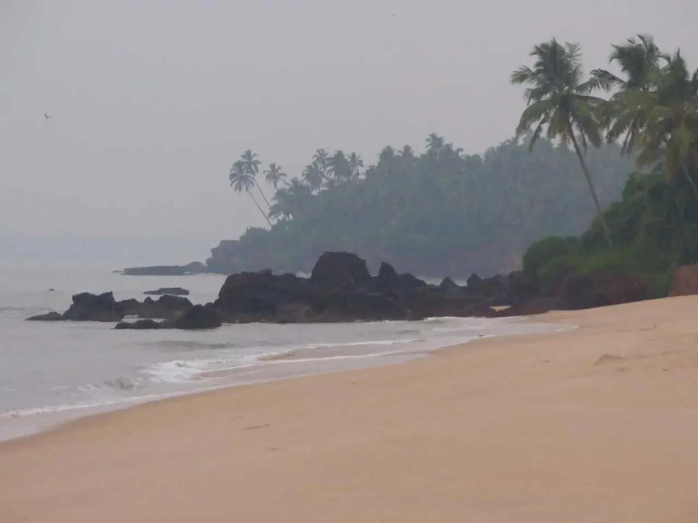 Ocean Green Kerala