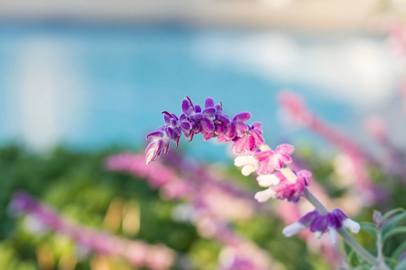 Abalone Place Guest House