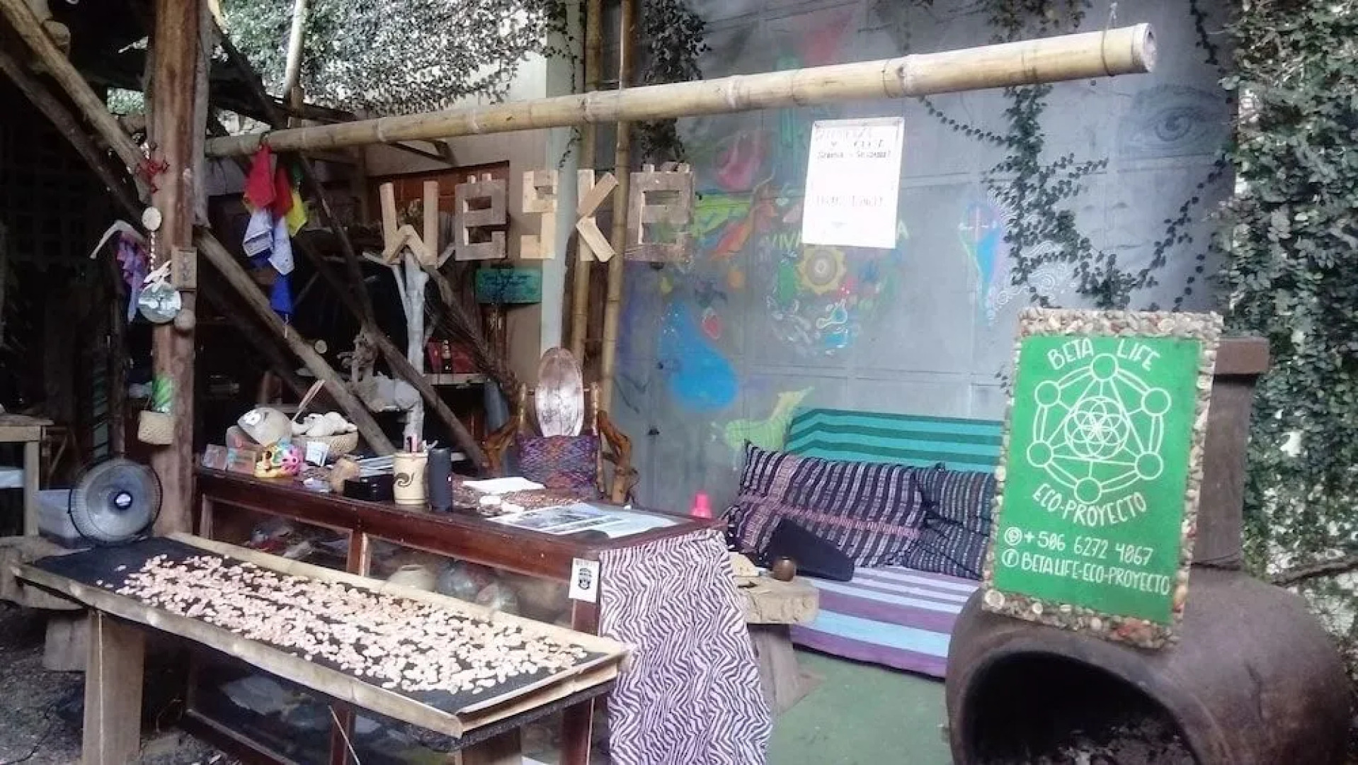 Beta Life Eco Proyecto Hostel