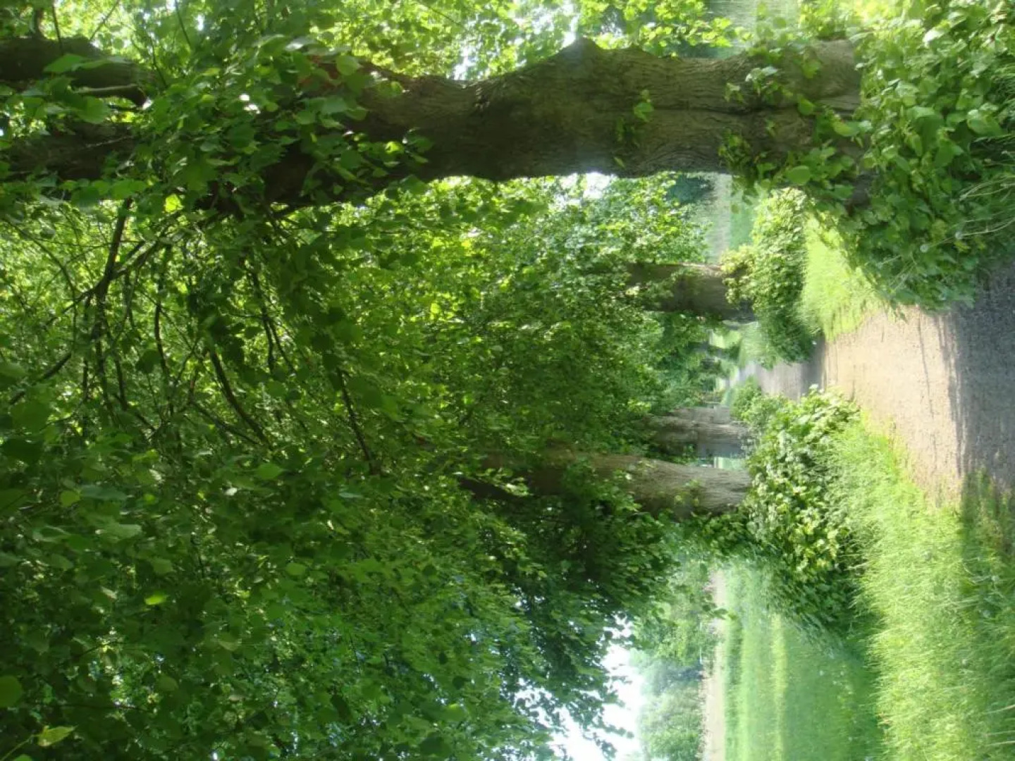 Hotel am Wariner See