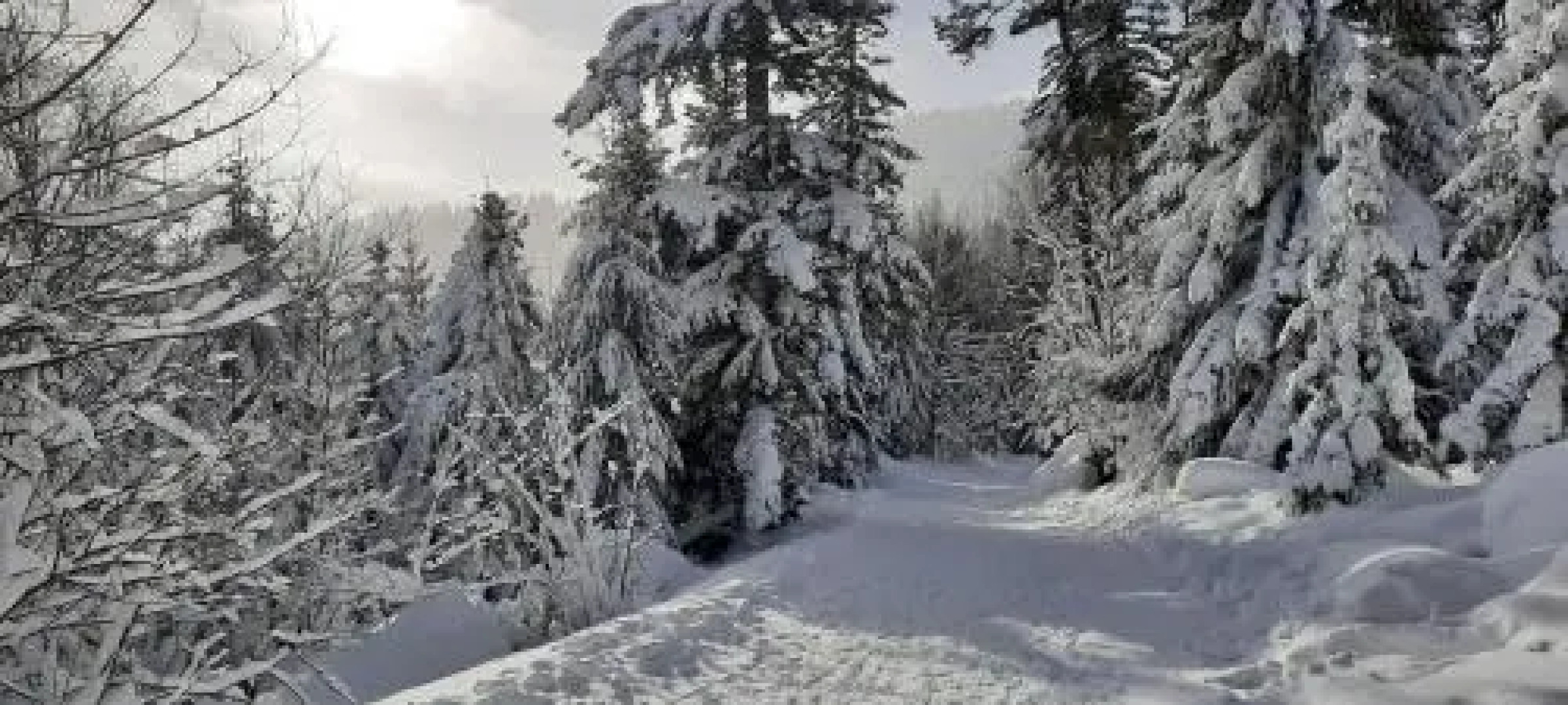 Le Domaine De Pairis