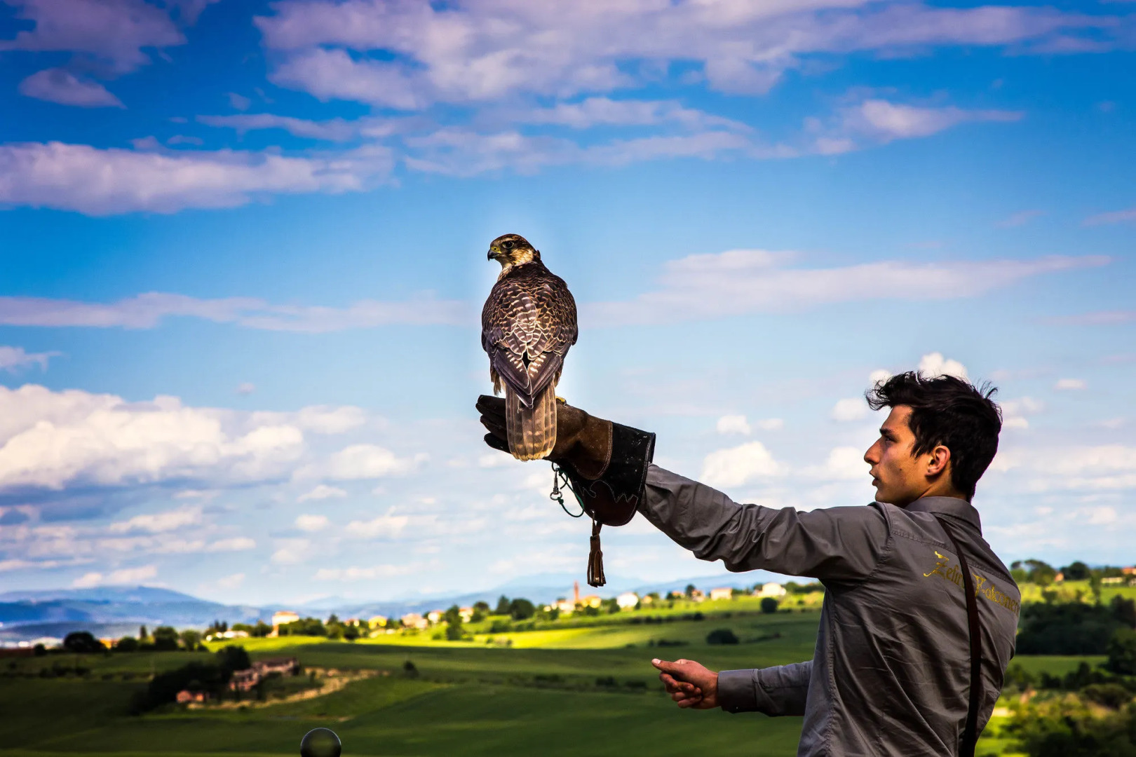 Villa Loggio Winery and Boutique Hotel