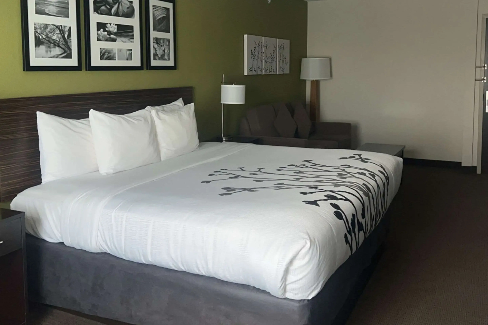 Sleep Inn & Suites Jourdanton - Pleasanton