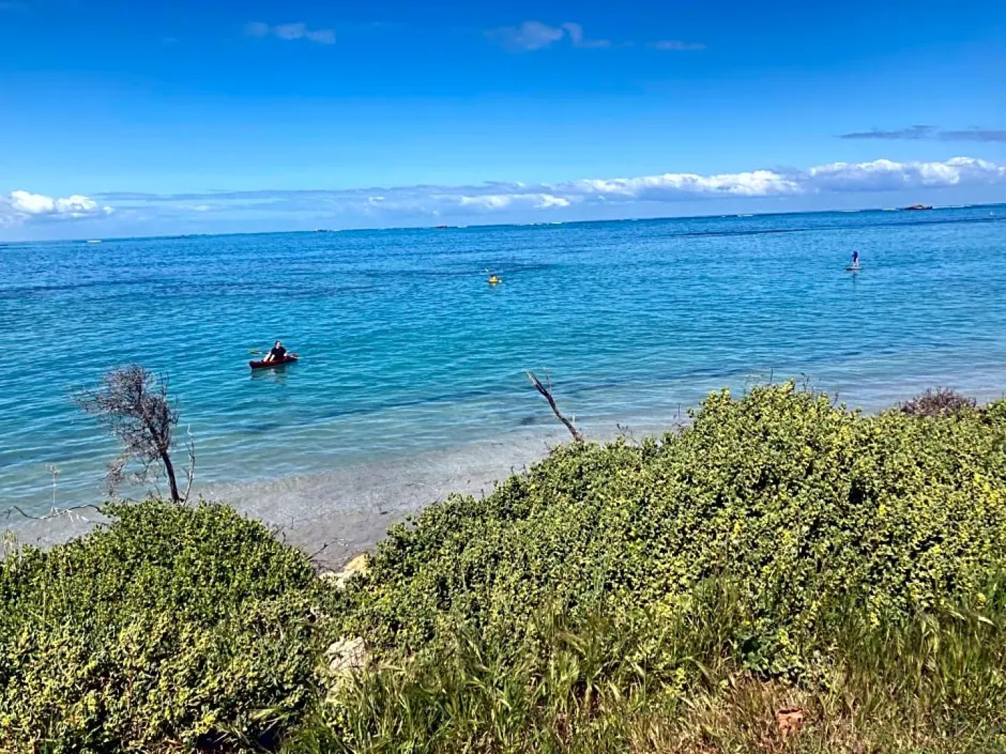 The Royal Dolphin B&B in Safety Bay