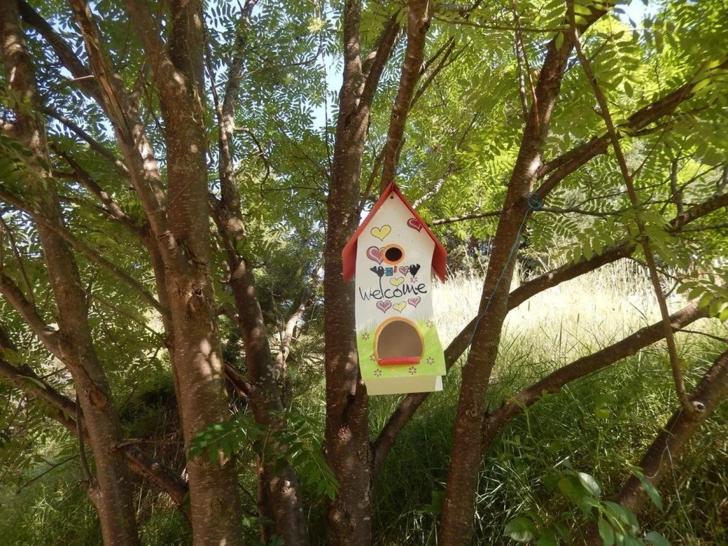 Ferienwohnungen E. Bogensperger