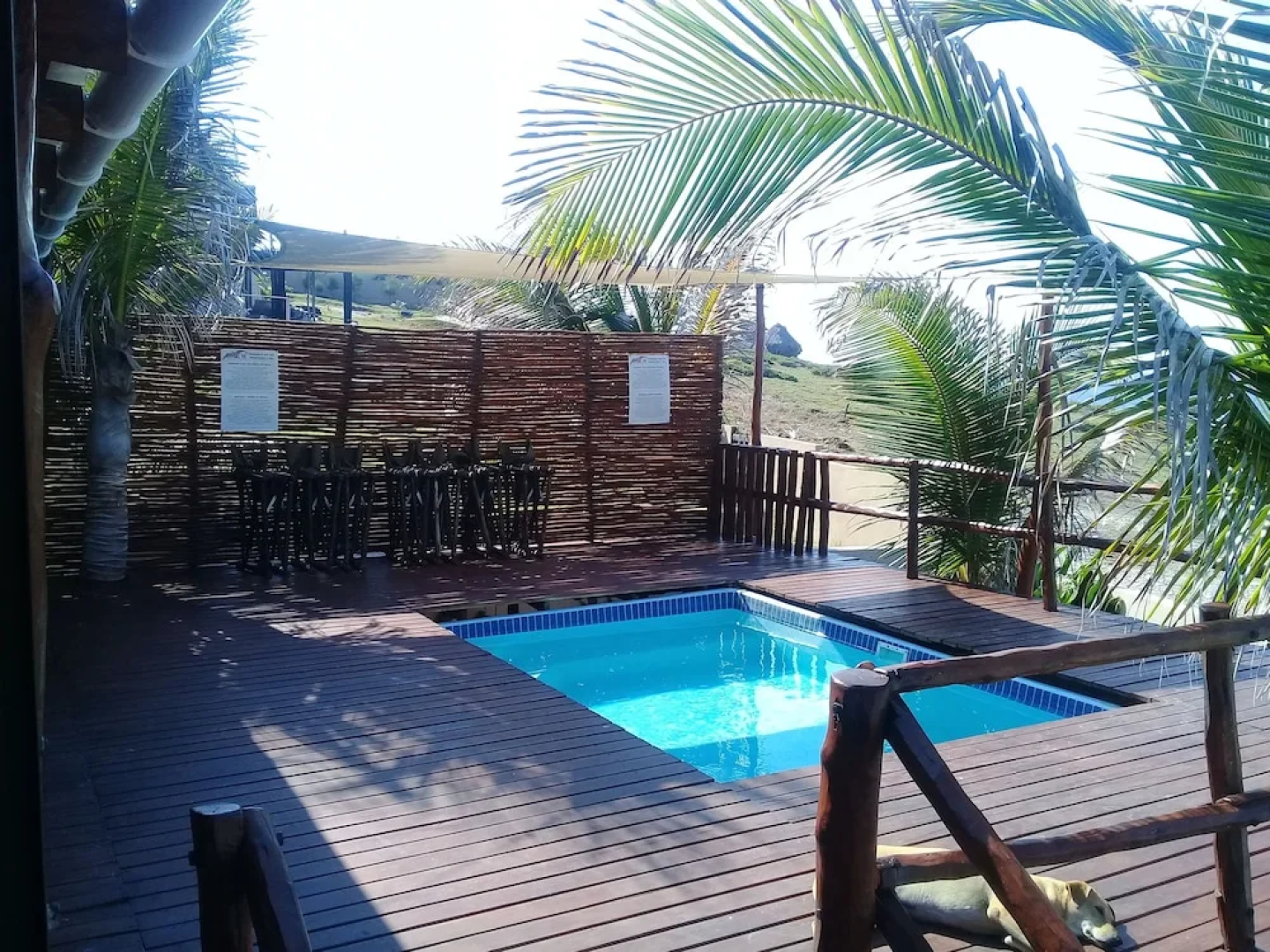 C-Mew Guesthouse