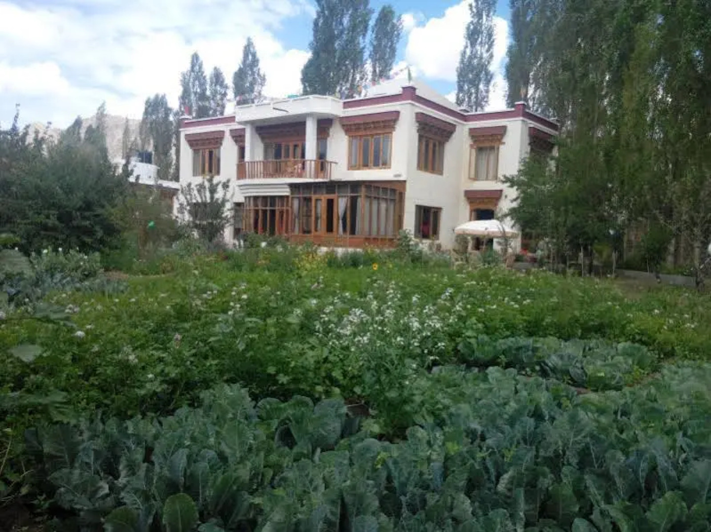 Niri-la Ladakh Guest House Leh