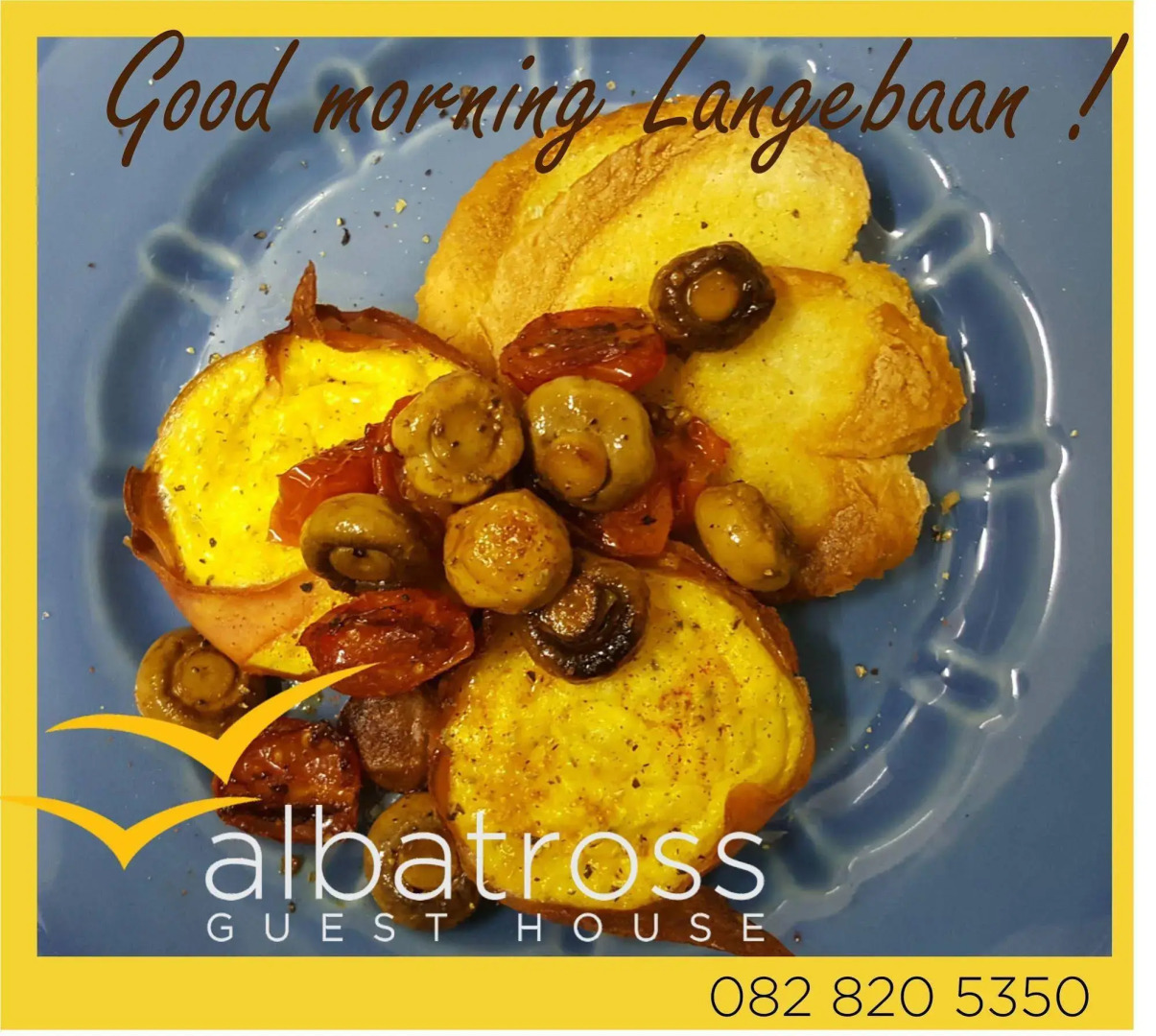 Albatross Guesthouse