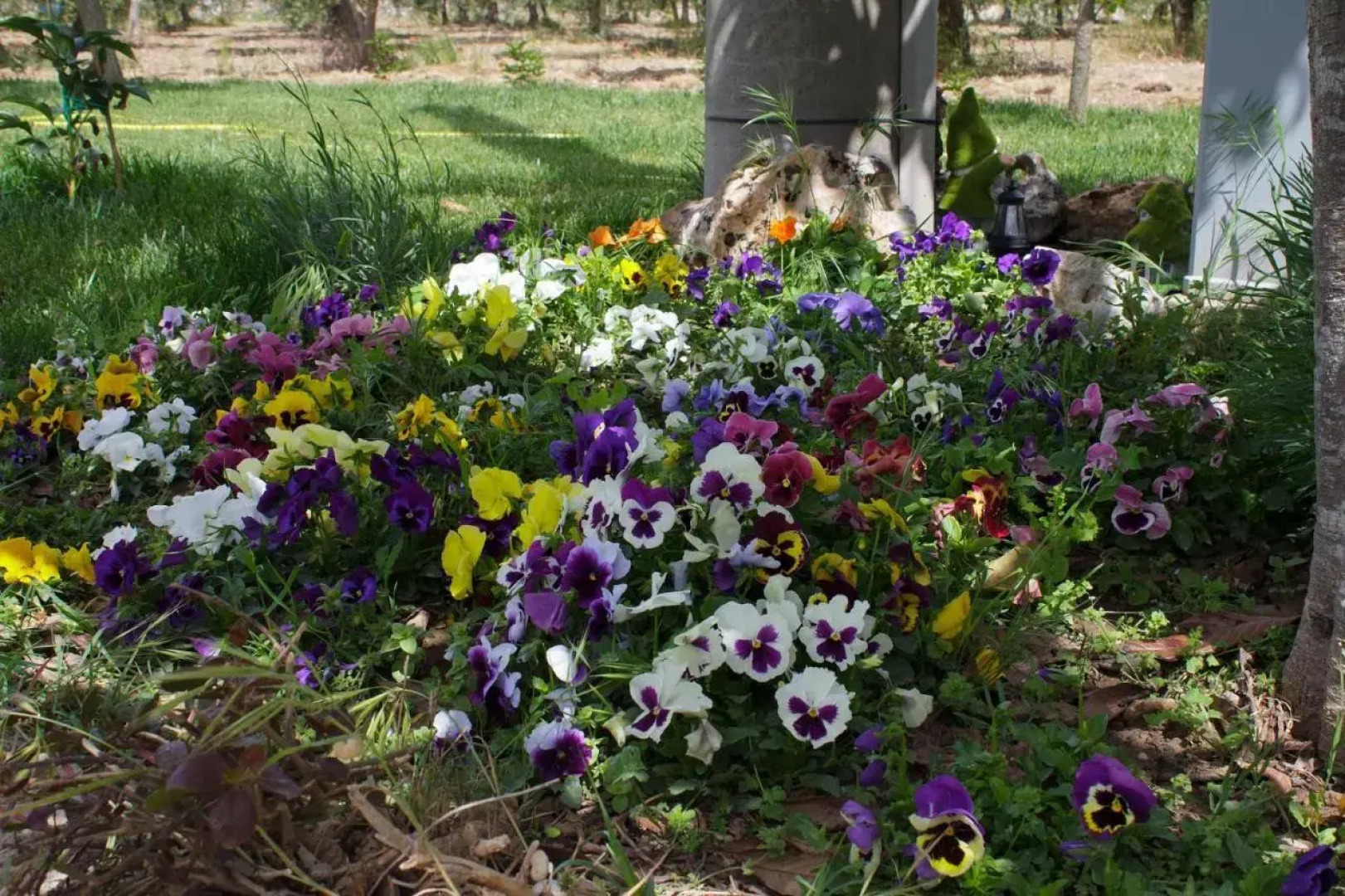 Trullo del Cavaliere