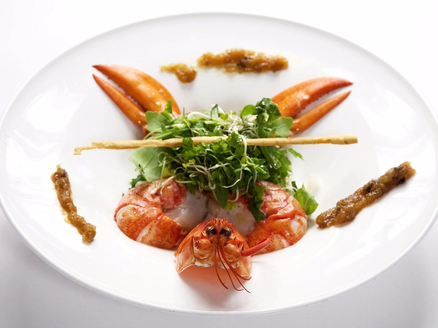 Logis Auberge du Cheval Blanc