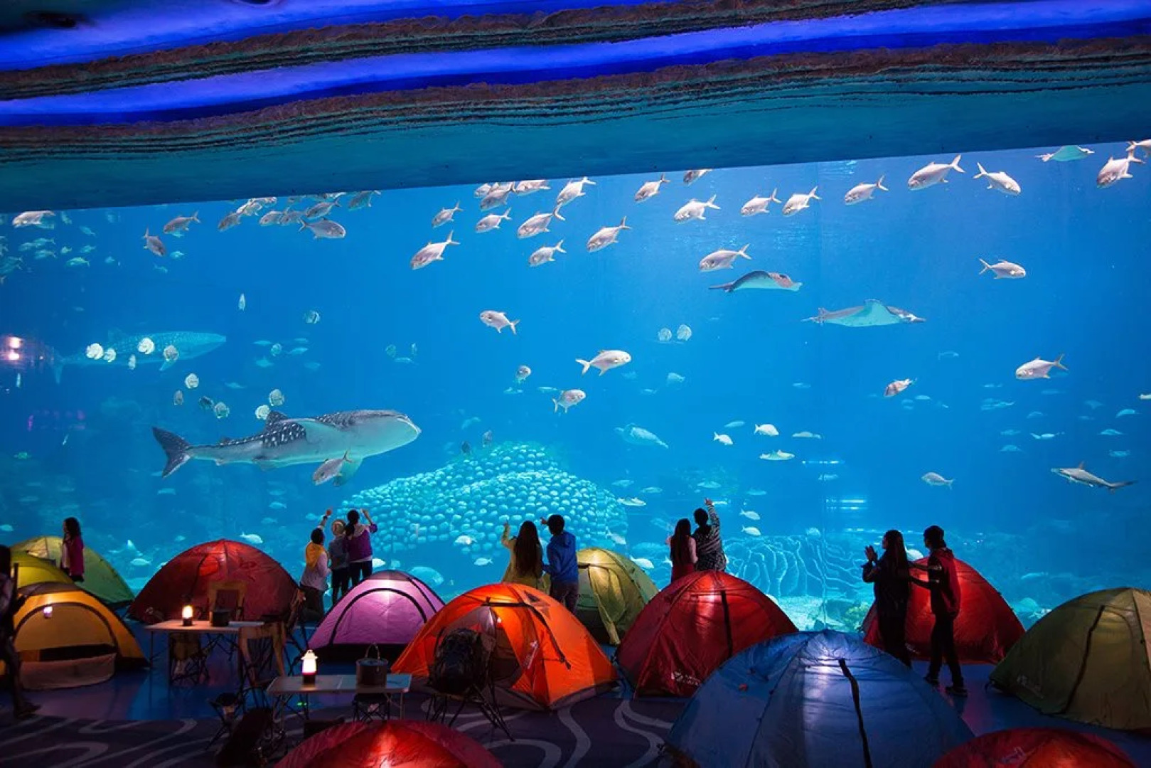 Chimelong Circus Hotel