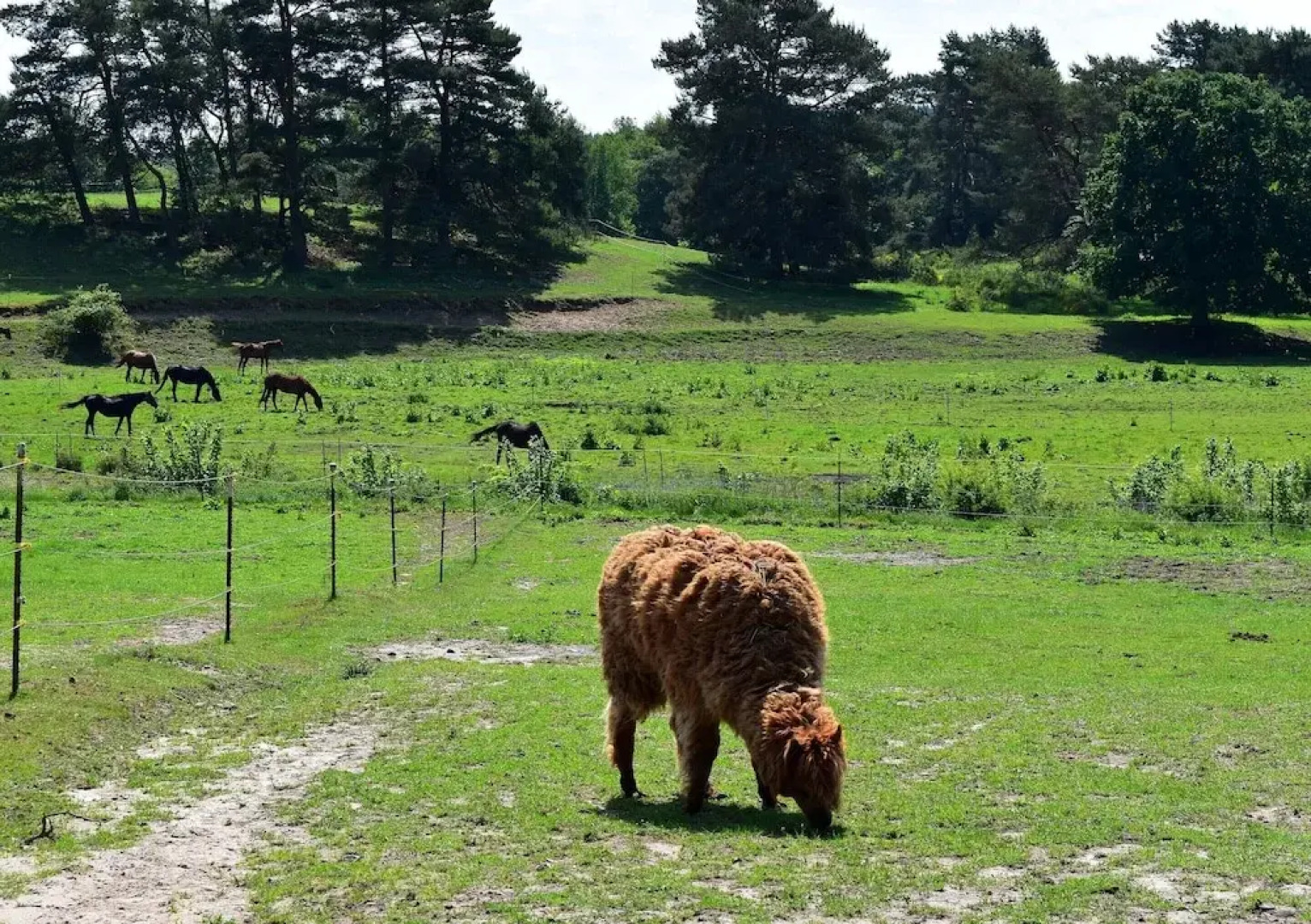 Ferienhaus am Garder See Inselblick