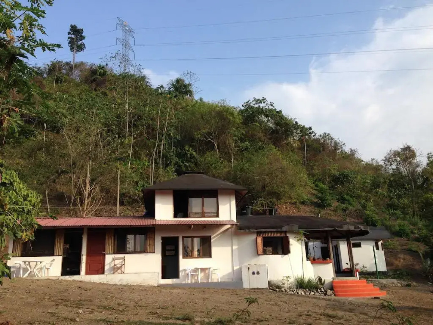 Jaguar Azul Palomino