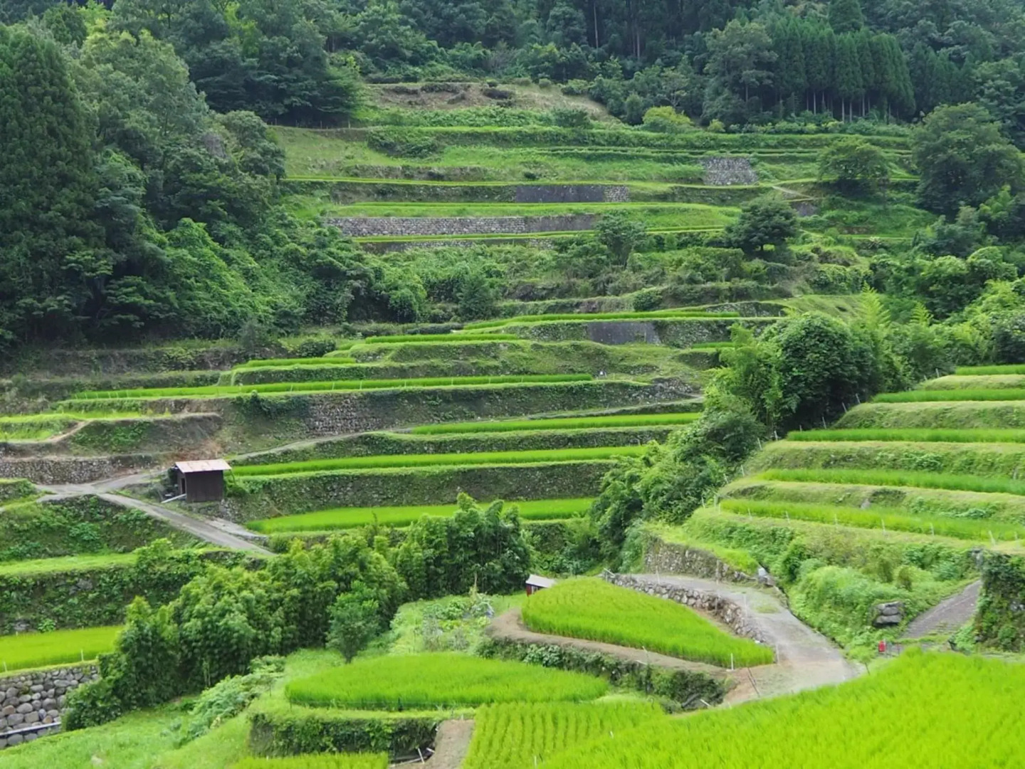 Chikugo Yoshii Guest House IKUHA - Vacation STAY 00074v