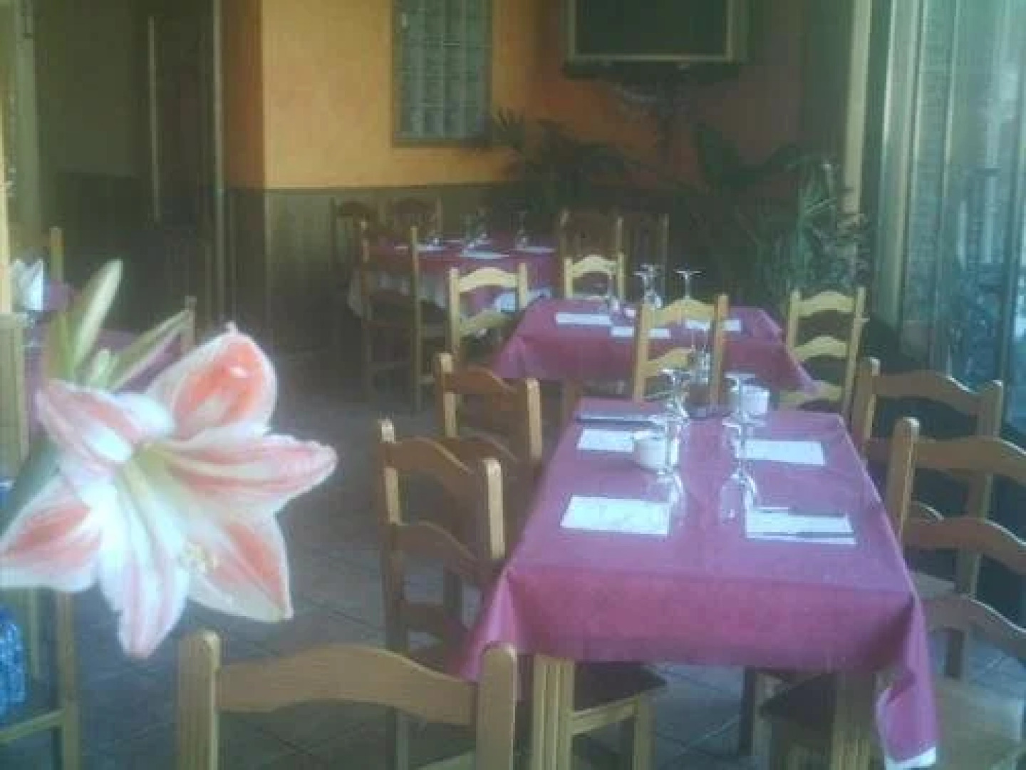 Casa Rural El Yedron