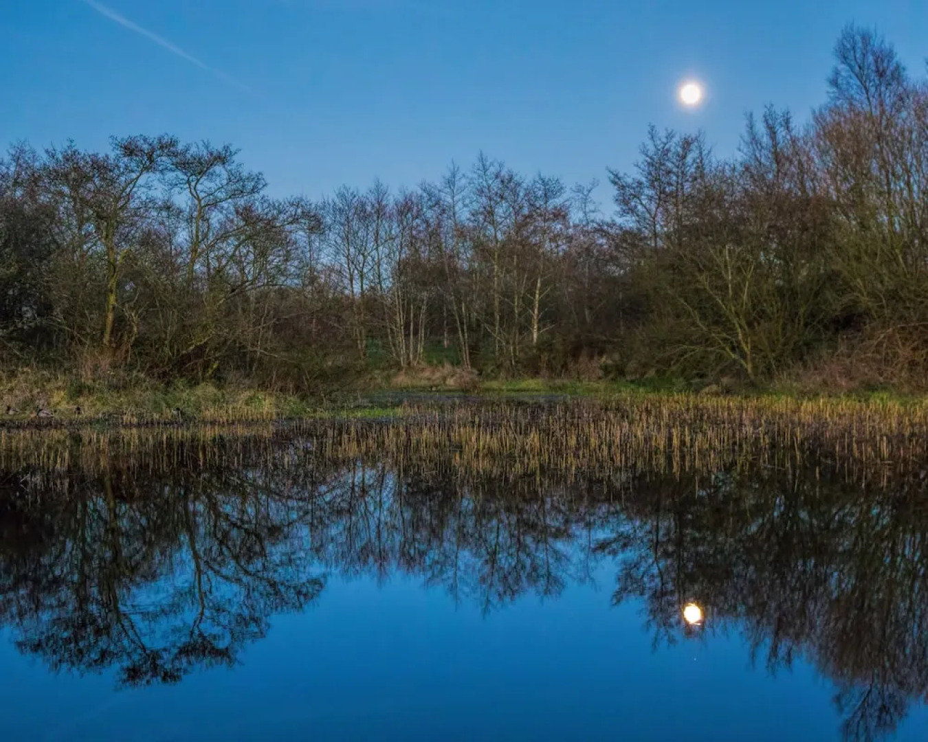 Ballylagan Organic Farm