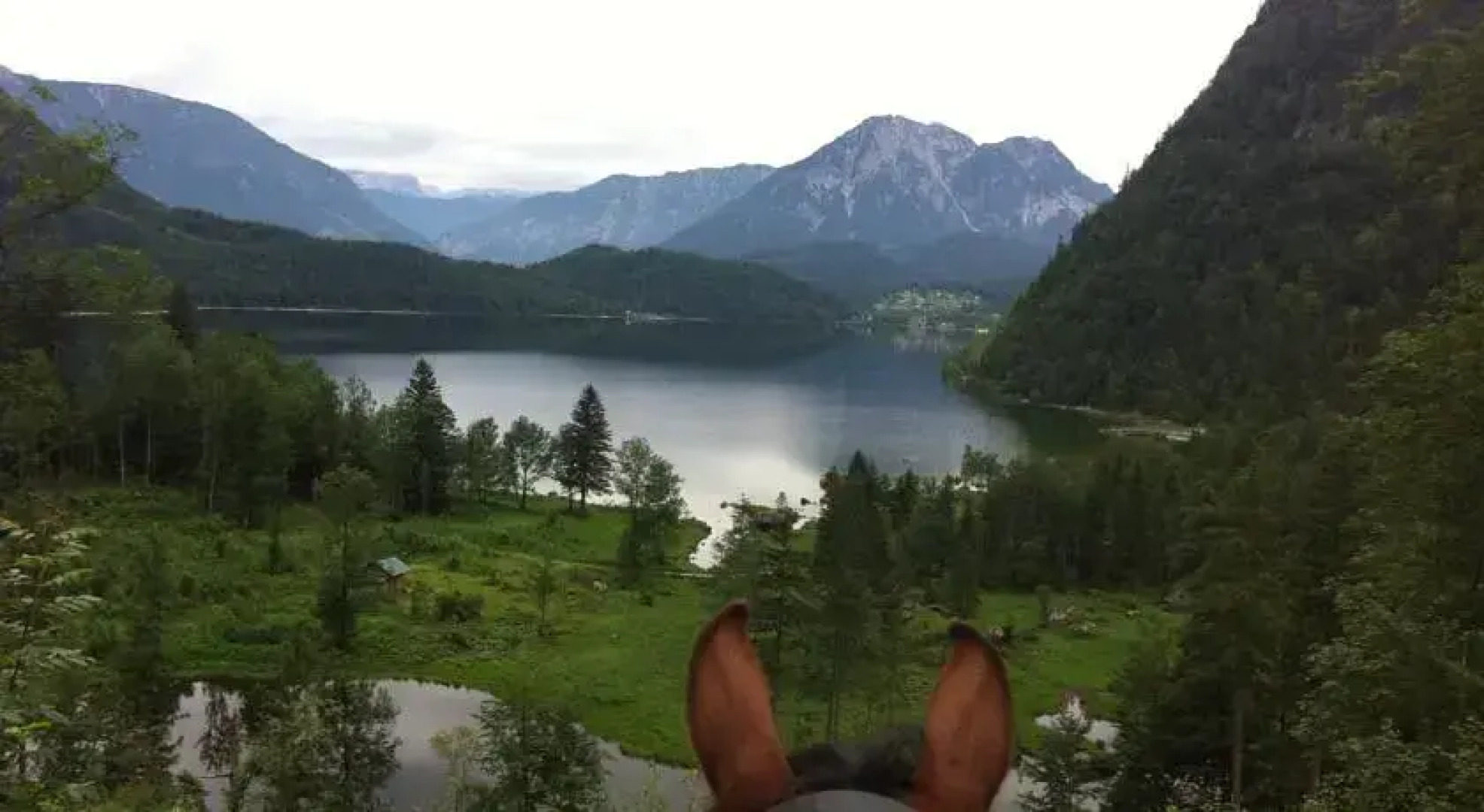 Reitbauernhof Schartner