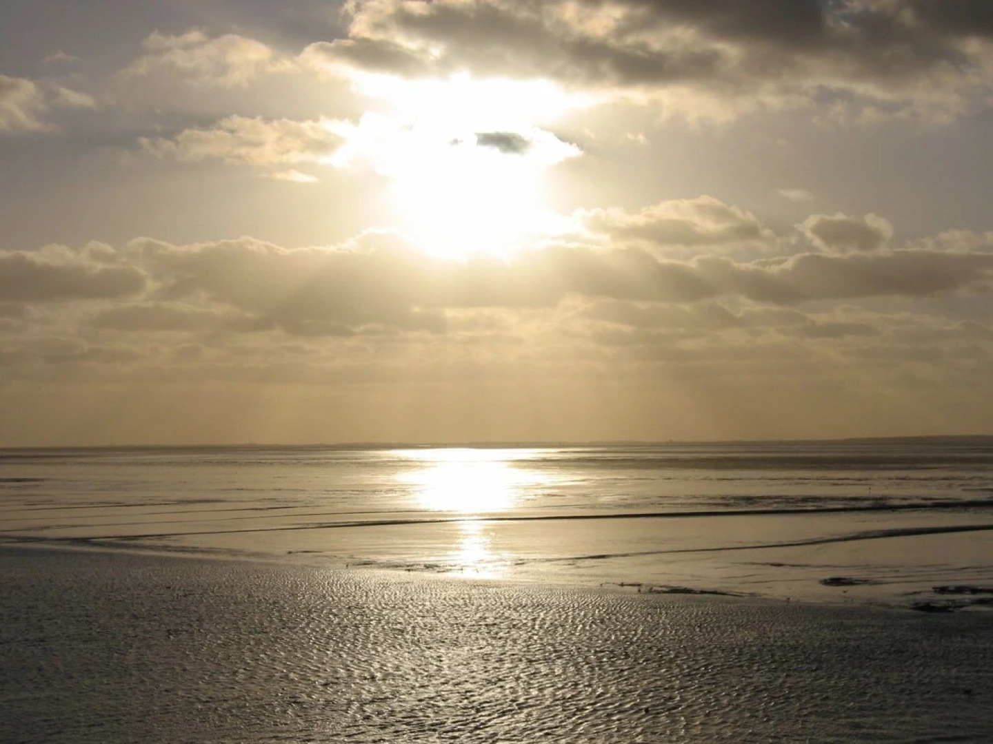 Detached Bungalow, Situated Directly at a Large Sand Dunes And Nature Area