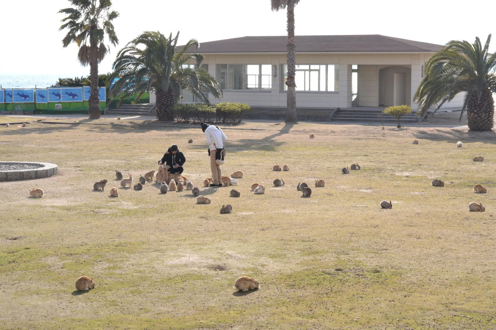 Kyukamura Ohkunoshima