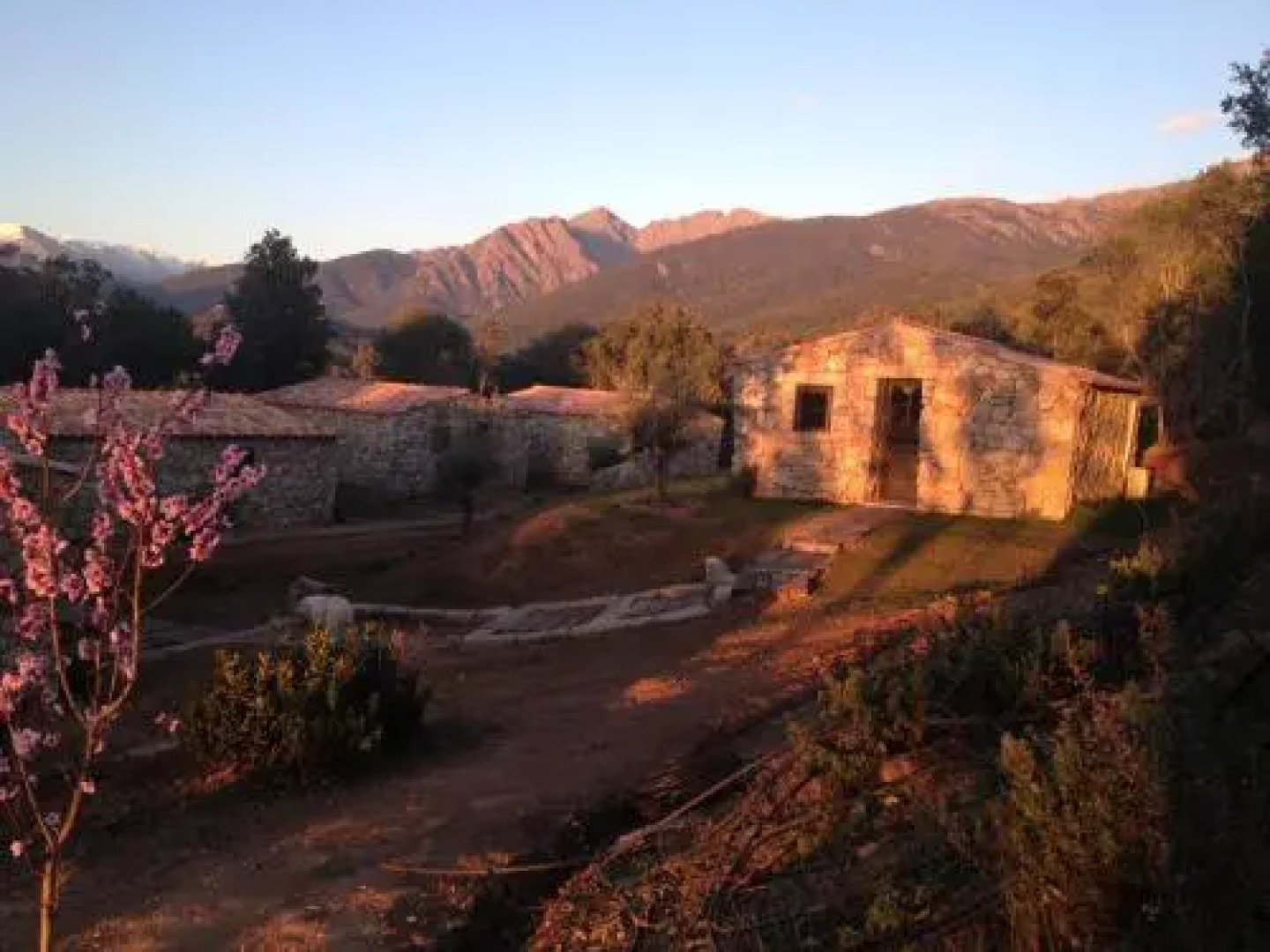Bergerie du Prunelli