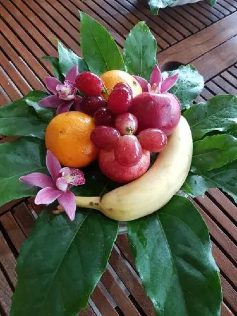 Quinta das Orquídeas