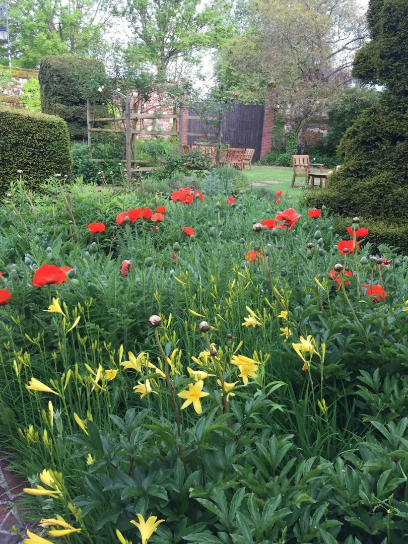 Château de Montreuil