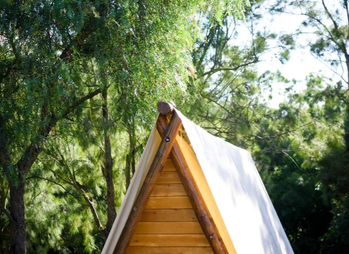 TEACAMPA Tarifa Punta Paloma