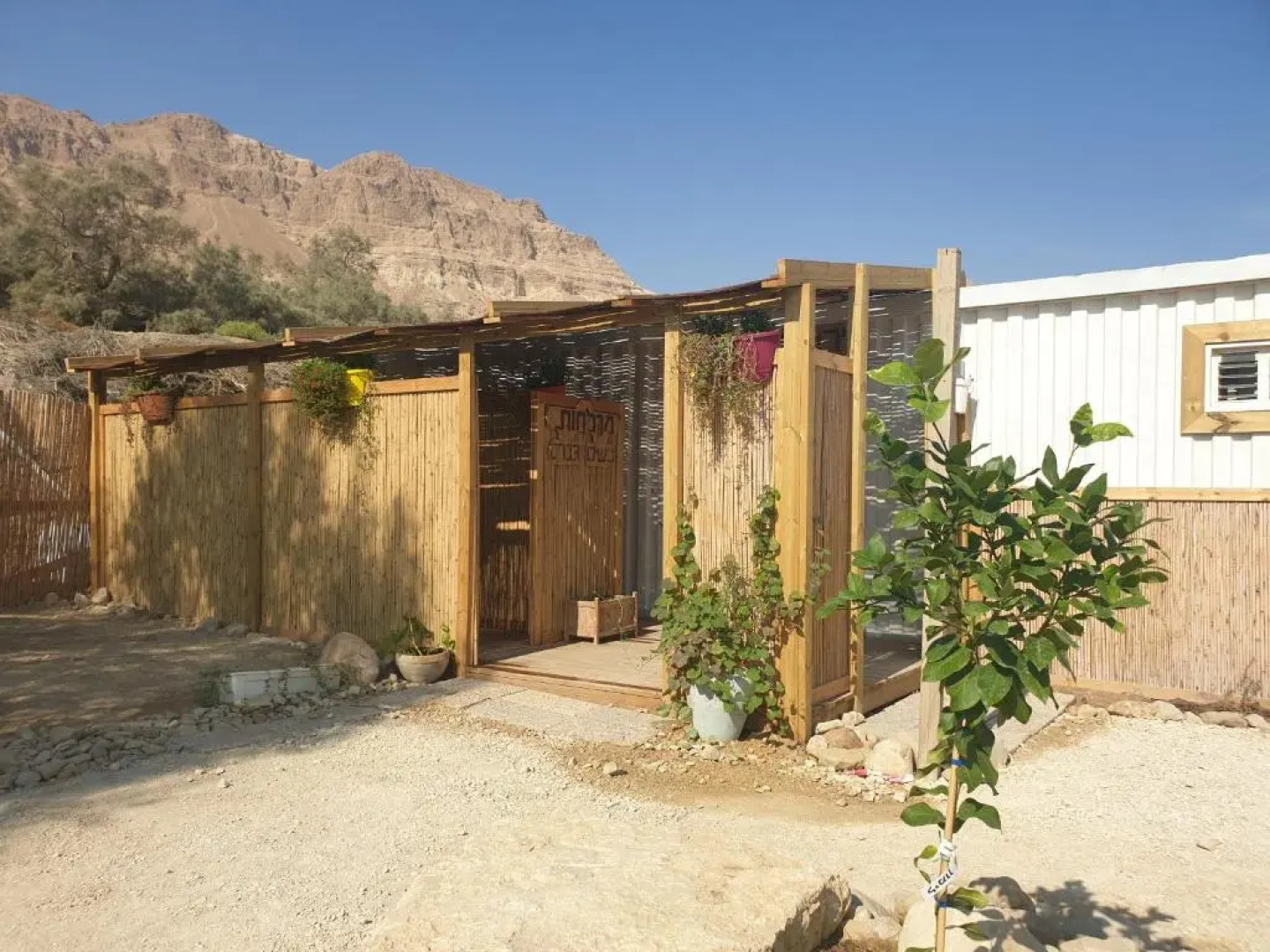 Ein Gedi Kibbutz Hotel