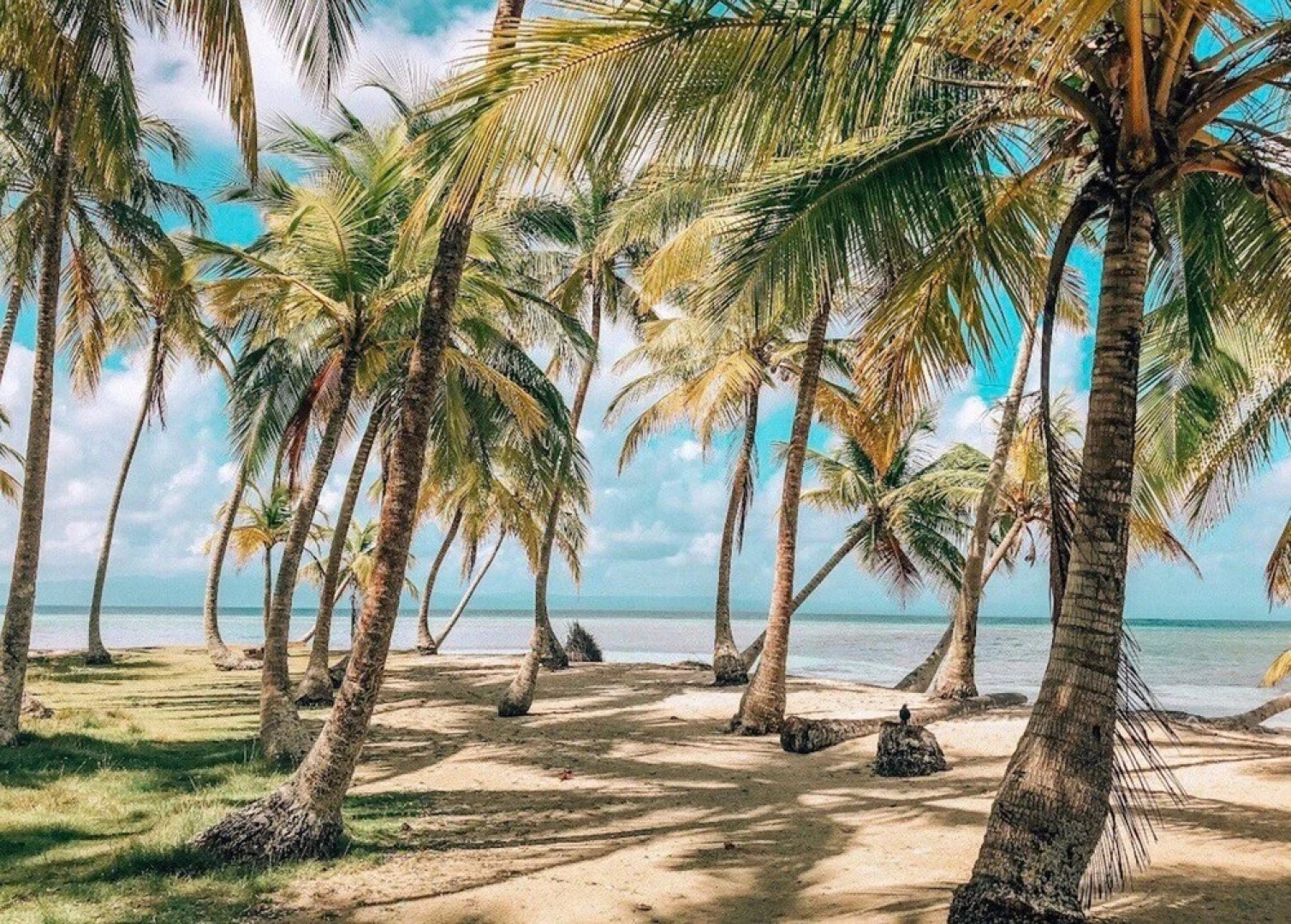 San Blas Private Sailboat - Island Hopping