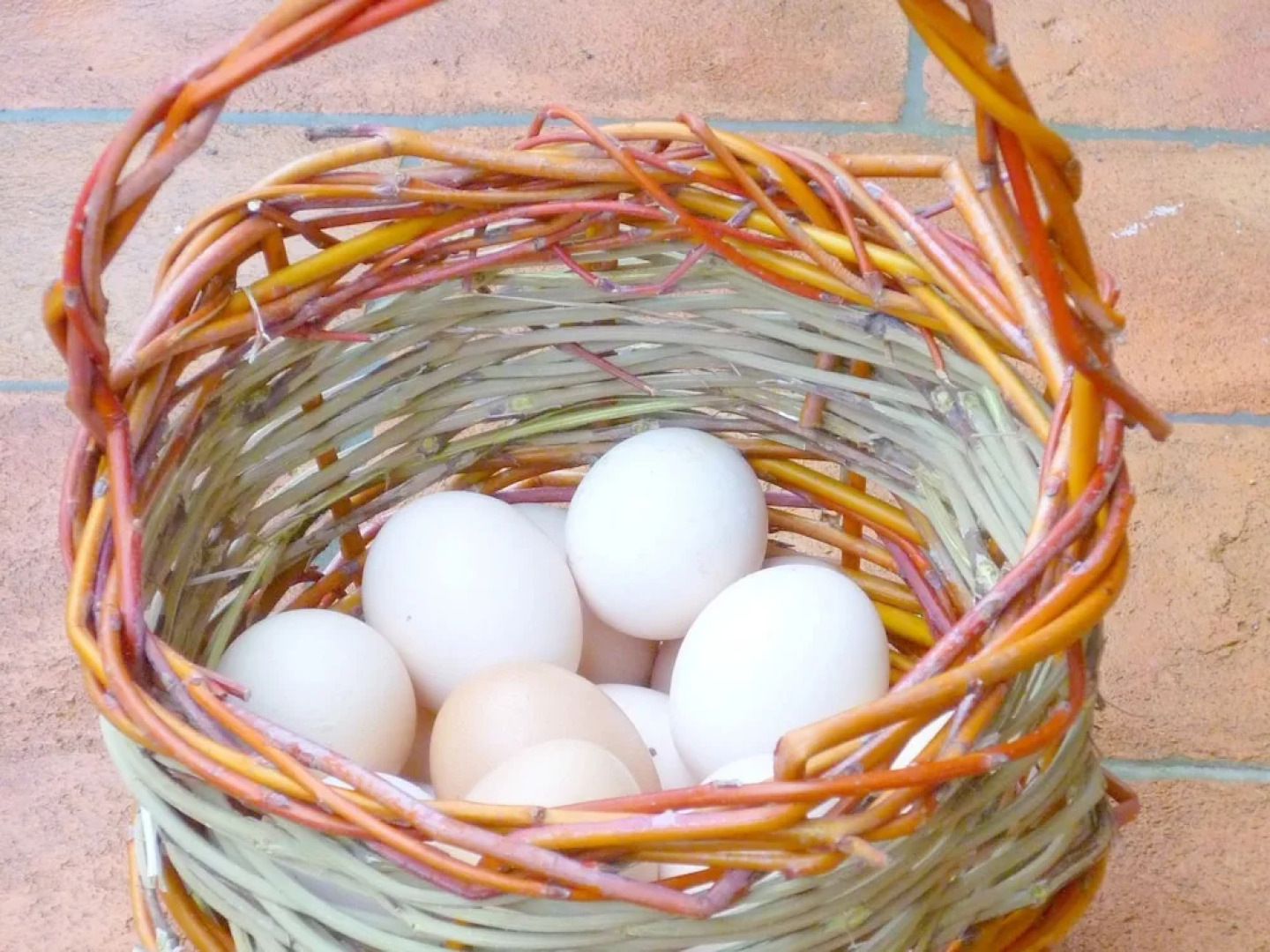 Modern Holiday Home in Rosignano Marittimo Near Forest